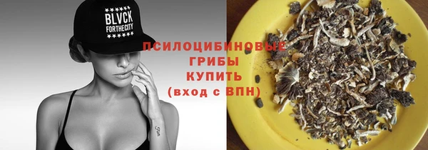 mdpv Майский
