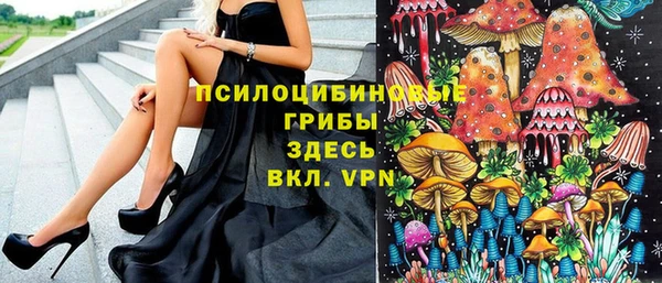 mdpv Майский